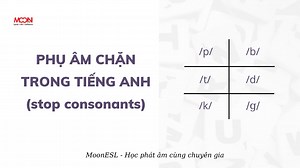 Phụ âm chặn trong tiếng Anh (stop consonants) - Moon ESL