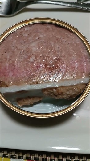 Bratwurst‑Dose Check 🔍🥫 DISCOUNTER