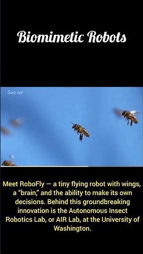 RoboFly: The Insect-Inspired Robot That Thinks for Itself