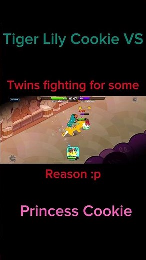 Tiger Lily Cookie vs. Princess Cookie (Twins Fighting) | Cookie Run: Kingdom