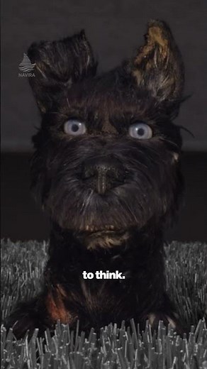 Isle of Dogs (2018) 🎬