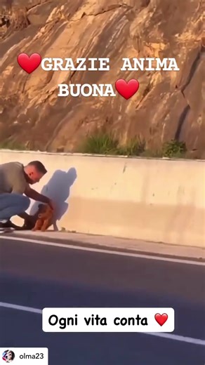 197K views · 10K reactions | Στην Ιταλία σήμερα ενός νέος σταματά στη...