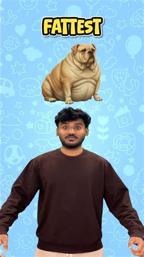 Fat Fatter Fattest | Easy English Words for Kids Learn Er Est with Examples | Cartoon Animation