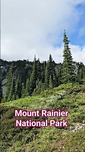 Mount Rainier National Park