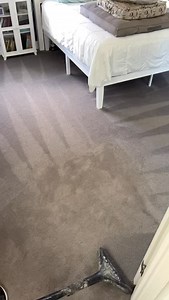 267 reactions · 5 comments | So fresh and so clean, clean! Fresh Start Carpet Care: (775) 309-3184 - - - - #freshstartcarpetcare #freshstart #results #satisfying #steamcleaning #fresh #carpetcleaning #timelapse #sofreshandsoclean | Fresh Start Carpet Care | Facebook