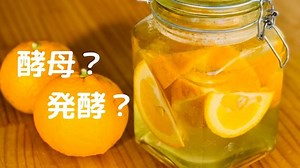 パン 酵母 と は  – 酵母って何？微生物の世界を感じる自家製酵母パン作り　3大発酵の秘密