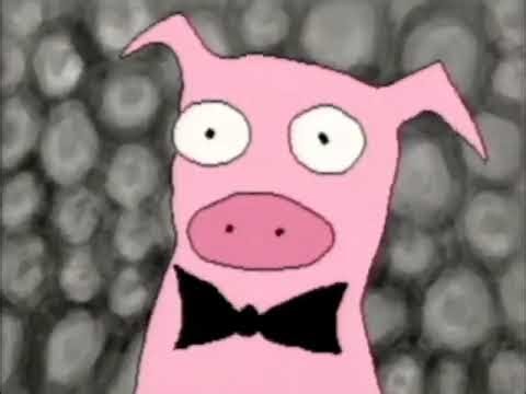 Dr Katz Complete Season 1 Full Episodes