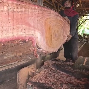 2.5M views · 9.3K reactions | OMG!!!!! Wood cutting is a dangerous profession -10 | Siguil Hydro Power Corporation | Facebook