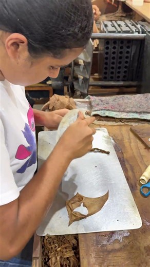 Así se hace un puro a mano (paso final: capa y terminación)