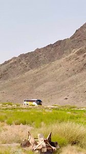 Brand Buses | Brand Buses