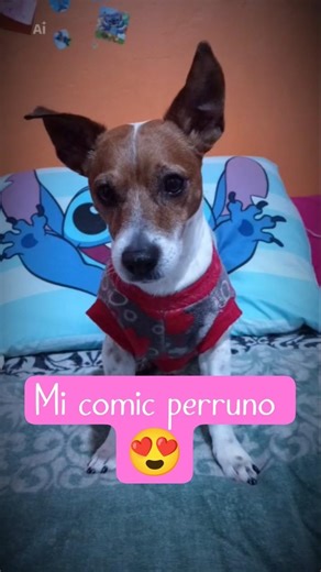 El cómic de un hermoso perro#shorts #short #anime #comics