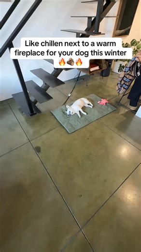 Does your senior pet struggle with the cold? 🐾❄️ Watch them fall in love with the CozyGuard™ Pet Heating Pad—the only heating pad with veterinary-grade warmth AND smart safety sensors that prevent overheating. ✅ Eases arthritis & joint pain naturally ✅ UL/FCC certified—safe to leave on all day ✅ Chew-proof cord & machine-washable cover ✅ Pets are obsessed from day one "My 12-year-old Lab moves like a puppy again! She lays on it for hours and gets up pain-free." — Sarah M. ⭐⭐⭐⭐⭐ No more piles of