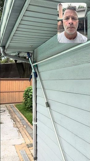 🐝 Yellow Jacket Nest vs. WASP FREEZE! 💥 | Pest Control in Action