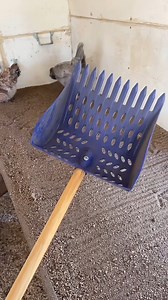 12K views · 76 reactions | The coop scoop is my new favorite dual purpose tool for the chicken coop! ✨ #poop #scoop #chickensoftiktok #chickens #cleaning #chickenkeeping #fyp @Alysha Bee Jeweled Coop | Simply Chickens | Facebook