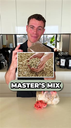 Cómo obtener grandes cosechas de champiñones ostra