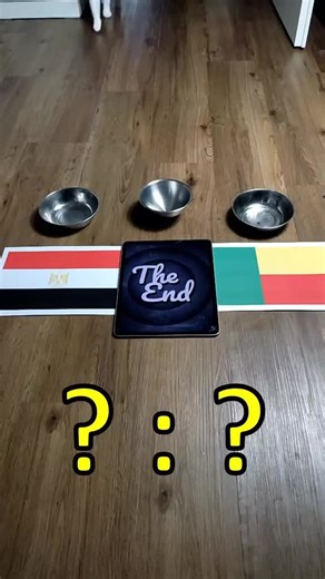 مين هيكسب الماتش مصر 🤔بنين #منتخب_مصر #تونس_المغرب_الجزائر #كاس_امم_افريقيا #foryou #fyppppppppppppppppppppppp