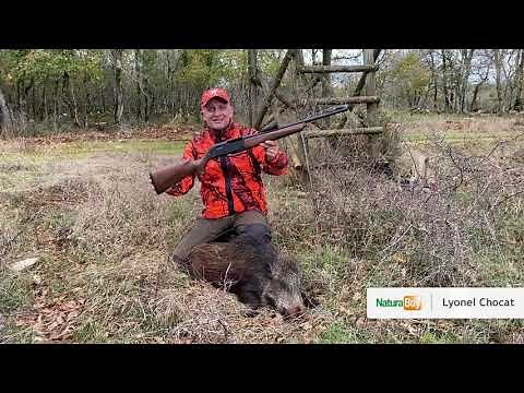 Je chasse avec la nouvelle SXR2 Winchester, nombreux tirs de sangliers