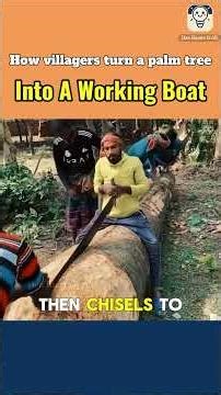 How villagers turn a palm tree into a working boat