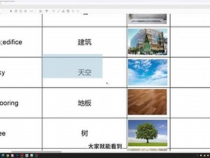 sd如何使用seg