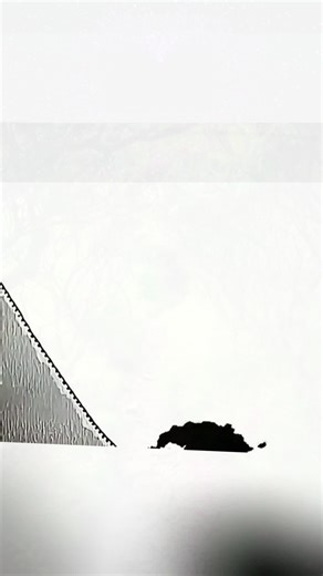 #CartoonRecap #CartoonEdit #UKCartoons #AnimationRecap #FunnyCartoon #Cartoon