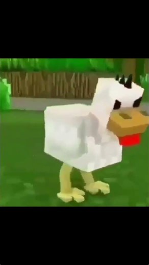 chichen figth#minecraft#memes