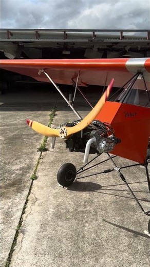 LEAGLE EAGLE ULTRALIGHT WITH A 1/2 VW MOTOR