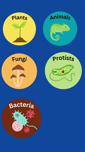 All of Life in 6 Kingdoms