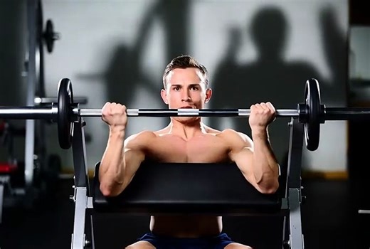 Preacher Curl