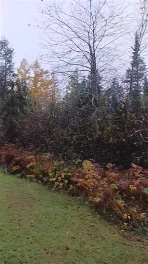 First snowfall of the season! | Running Bear Resort