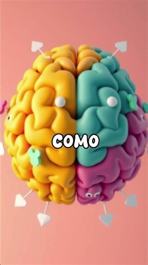 o poder do cerebro humano (the power of the human brain)