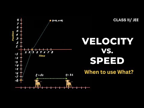 Average Velocity & Average Speed: Which formula to use? | Kinematics | Class 11 Physics