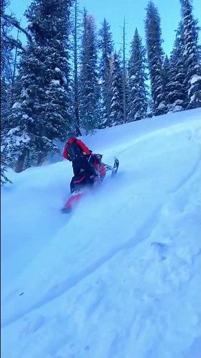 Snowmobile Avalanche!