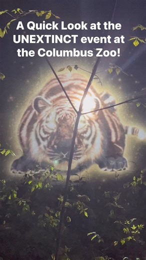 UNEXTINCT at the Columbus Zoo is an immersive nighttime experience that takes you on a journey through an incredible world of colorful illusions and extraordinary wildlife. Where creatures long extinct and those on the edge of extinction still roam. UNEXTINCT is the first of its kind – bringing over 70 extinct and threatened species back to life for an immersive digital nighttime experience like none other. #columbusohio #columbuszooandaquarium #Cincinnati #Ohio #ohiodaytrip | Jen Dalton Local 1