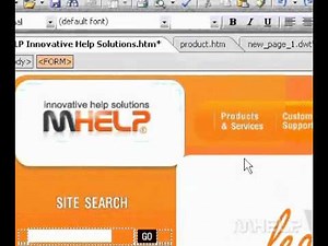 Microsoft Office FrontPage 2003 Modify layer visibility and layer size