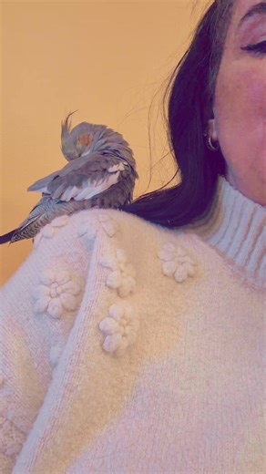 Sabrina Falardeau on Reels