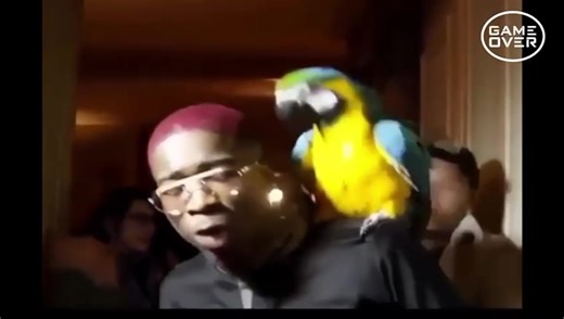 Mhd et Ninho: Serpent et Éléphant en Folie !