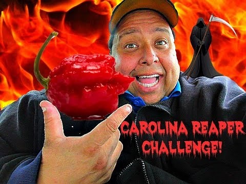 200,000 Subscriber CAROLINA REAPER CHALLENGE! *(Dry Heaving Alert!)*