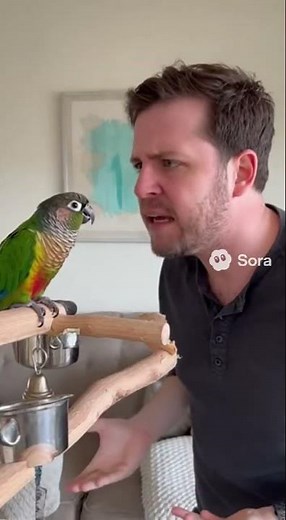 🎬 Angry Talking Parrot Arguing with Owner 😂🦜 #shorts #parrot #talkingparot