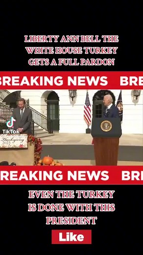 SandyClaws on TikTok