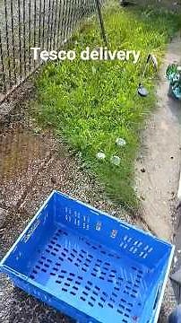 Tesco home delivery