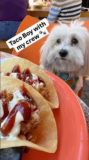 Lunch at Taco Boy Charleston | Downtown Charleston Lifestyle & Local Favorites
