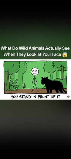 #2danimation #uktiktok #viral #vampire | humans biologically are terrifying