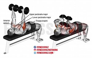 Maximize Your Triceps with the Ultimate Tate Press Workout – Fitness Volt