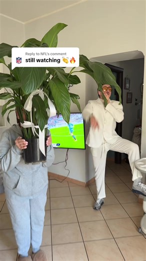 Discover Our MVP Plant: The Ultimate Green Companion