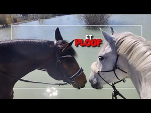 I'M DROWNING FOR A GAIT 🤪🤣