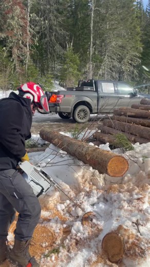 MS 661 Lumberjack Expertise in Action