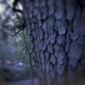 Discover the haunted history of Savannah with a tour that reveals its ghostly past. | Ghosts & Gravestones Savannah