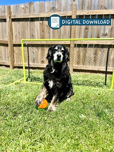 DIY PVC Outdoor / Indoor Soccer Net Plan - Etsy Australia