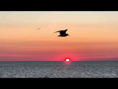 Grand bend Insane Sunset!