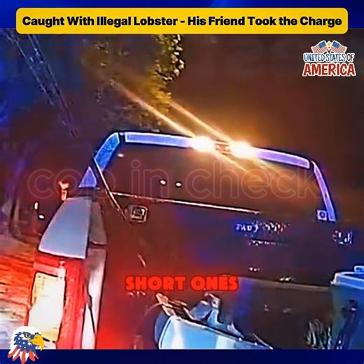 Caught With Illegal Lobster His Friend Took the Charge | Associação Cultural Guerreiro Escravo ACUGE